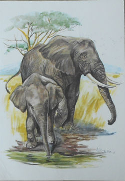 Cartes · Cartes postales Art