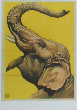 Cartes · Cartes postales Art