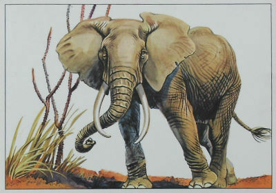 Cartes · Cartes postales Art