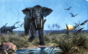 Cartes · Miniatres pour traims du zoo Hagenbeck