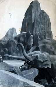 Cartes · Cartes postales - Zoos d'Europe