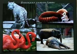 Cartes · Cartes postales Asie