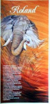 Cartes · Cartes postales Afrique