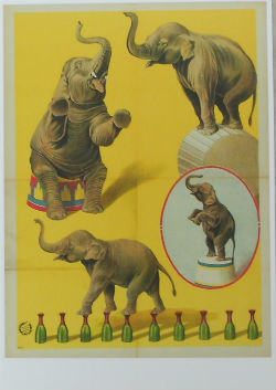 Cartes · Cartes postales Humour