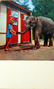 Cartes · Cartes postales Asie