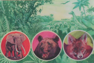 Cartes · Cartes postales Afrique