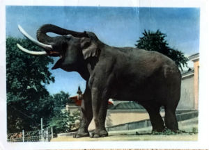 Cartes · Cartes postales Asie
