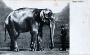 Cartes · Cartes postales Asie