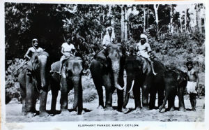Cartes · Cartes postales Asie - Éléphants d'Asie