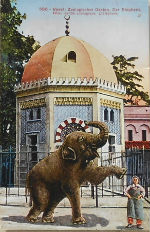 Cartes · Cartes postales - Zoos d'Europe