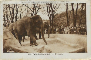 Cartes · Cartes postales - Zoos d'Europe