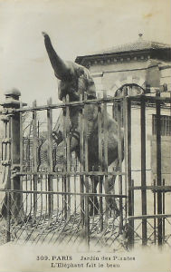 Cartes · Cartes postales - Zoos d'Europe