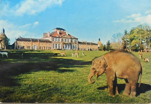Cartes · Cartes postales - Zoos d'Europe
