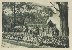 Cartes · Cartes postales - Zoos d'Europe