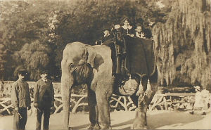 Cartes · Cartes postales - Zoos d'Europe