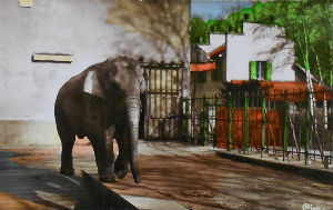 Cartes · Cartes postales - Zoos d'Europe