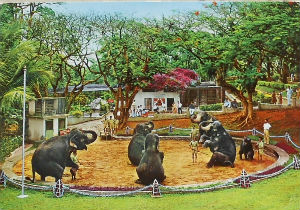 Cartes · Cartes postales Asie