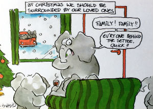 Cartes · 23 cartes hollandaises " Merry Christmas - Happy New Year"