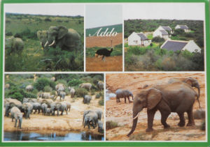 Cartes · Cartes postales Afrique