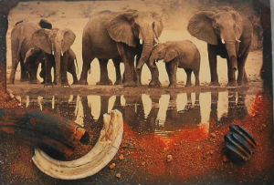 Cartes · Cartes postales Afrique