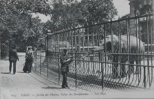 Cartes · Cartes postales Afrique