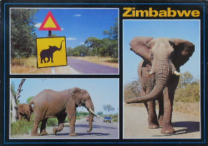 Cartes · Cartes postales Afrique