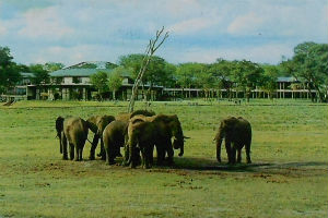 Cartes · Cartes postales Afrique