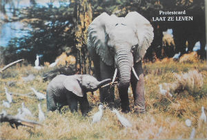 Cartes · Cartes postales Afrique
