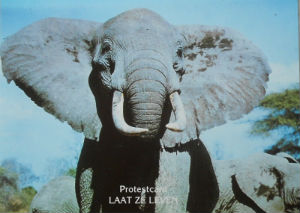 Cartes · Cartes postales Afrique