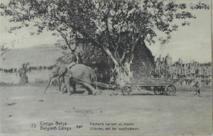 Cartes · Cartes postales Afrique