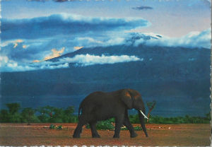 Cartes · Cartes postales Afrique