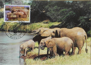 Cartes · Cartes postales Afrique