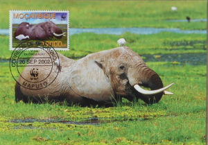Cartes · Cartes postales Afrique