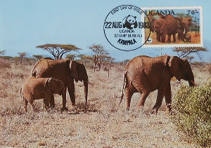 Cartes · Cartes postales Afrique