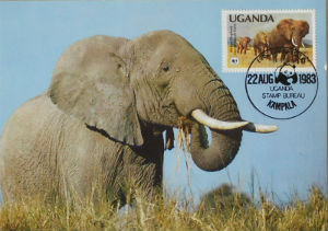 Cartes · Cartes postales Afrique