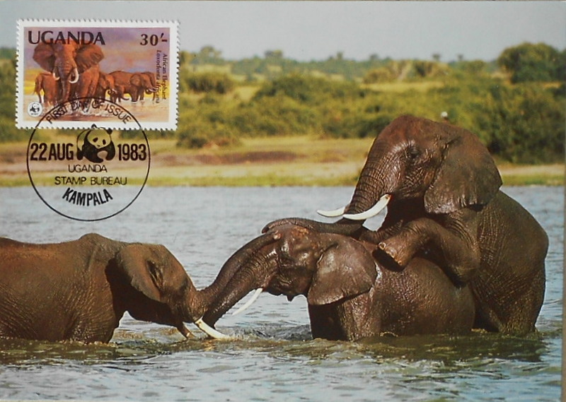 Cartes · Cartes postales Afrique