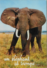 Cartes · Cartes postales Afrique