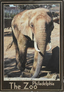 Cartes · Cartes postales Afrique