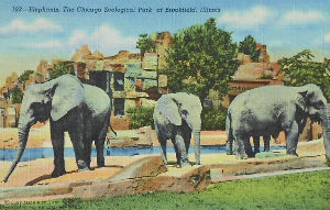 Cartes · Cartes postales Afrique