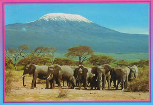 Cartes · Cartes postales Afrique