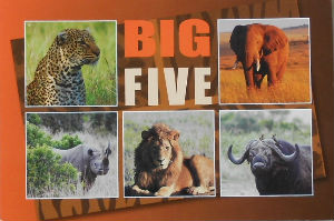 Cartes · Cartes postales Afrique