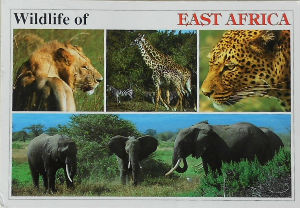 Cartes · Cartes postales Afrique