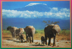 Cartes · Cartes postales Afrique