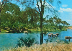 Cartes · Cartes postales Afrique