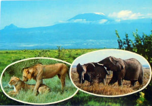 Cartes · Cartes postales Afrique