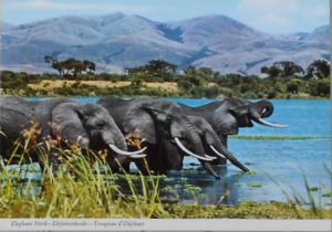Cartes · Cartes postales Afrique