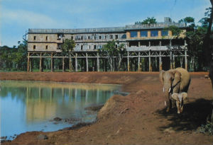 Cartes · Cartes postales Afrique