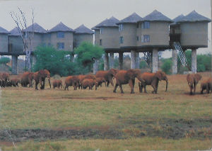 Cartes · Cartes postales Afrique