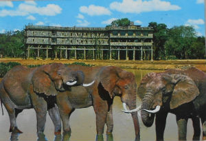 Cartes · Cartes postales Afrique