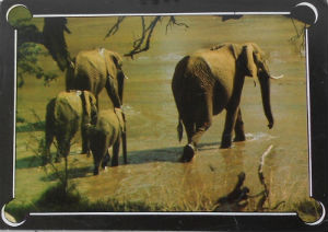 Cartes · Cartes postales Afrique